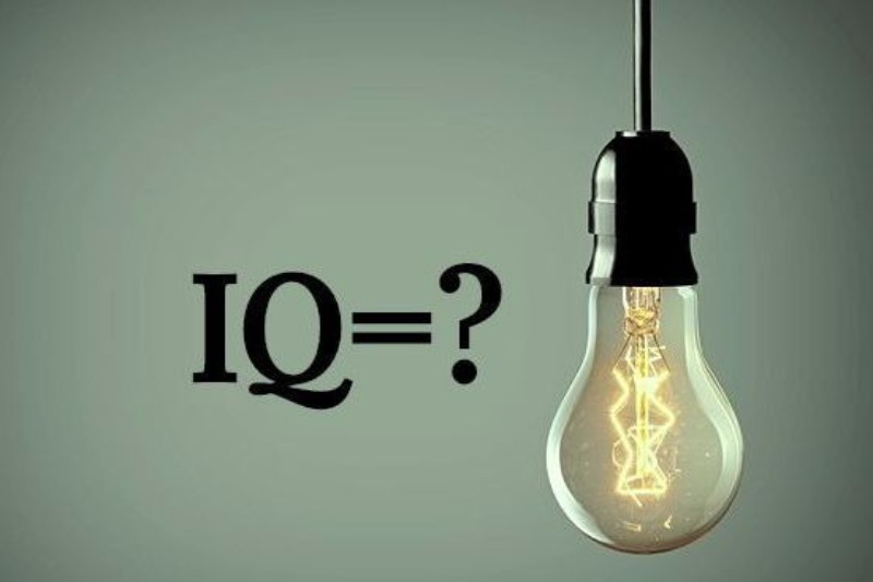 Tes IQ di Pendidikan: Wajib atau Tidak? Temukan Faktanya!FaktaTesIQ 