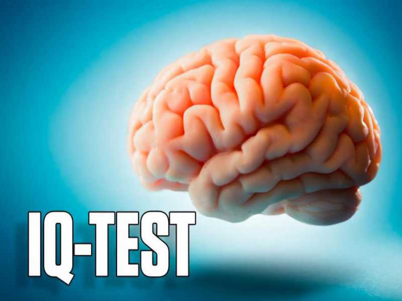 Ngerti Gak, Bro? Memahami Mendalam Pentingnya Tes IQ untuk Masa Depan yang Makin Ngehits!