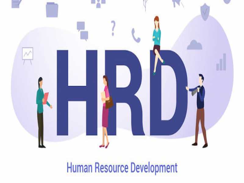 Mengenal 25 Istilah Penting dalam HRD yang Keren dan Kece Abis!